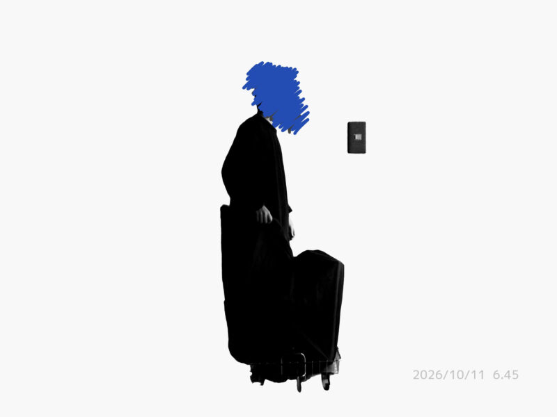 ブロンプトン 輪行 キャリーカーゴ